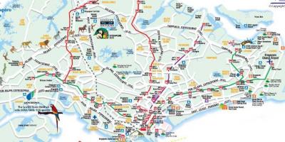 Mapa do camiño de Singapur