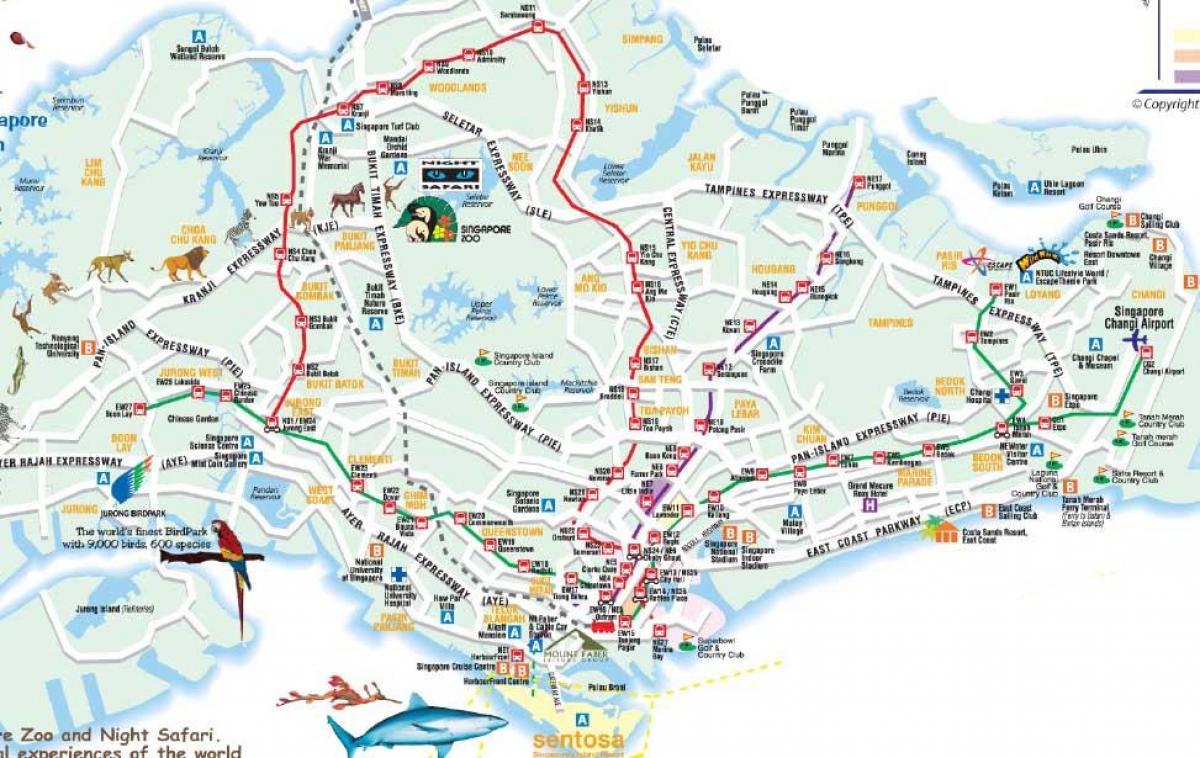 mapa do camiño de Singapur